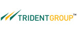 Trident group